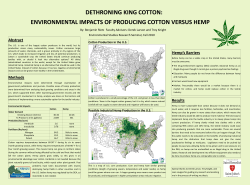 Dethroning King Cotton: Environmental Impacts of Producing Cotton