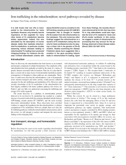 Iron trafficking in the mitochondrion: novel pathways