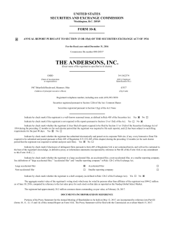 10-K Statement Only - Annual Report