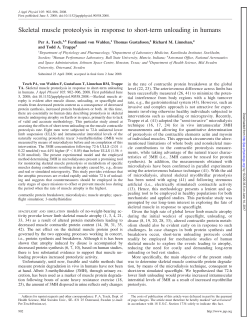 Skeletal muscle proteolysis in response to short