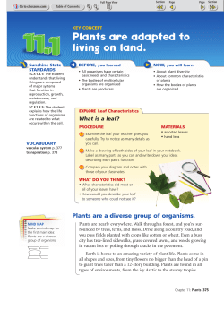 Plants are adapted to living on land.