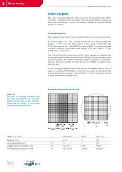 Description of counting grids of counting - Marienfeld