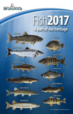 Fish 2017 - Government of New Brunswick
