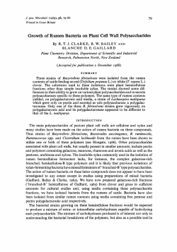 Growth of Rumen Bacteria on Plant Cell Wall Polysaccharides
