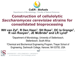 Consolidated Bioprocessing
