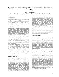 A genetic and physical map of the short arm of rye chromosome 1