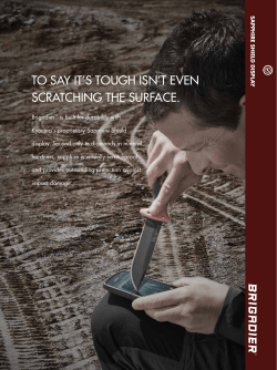 Sapphire Shield Display