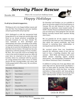 Happy Holidays - Serenity Place Rescue
