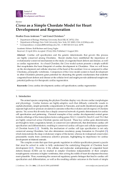 Ciona as a Simple Chordate Model for Heart Development and