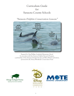 Curriculum Guide for Sarasota County Schools