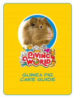 GUINEA PIG CARE GUIDE
