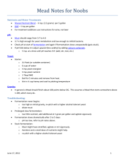 Mead Notes for Noobs