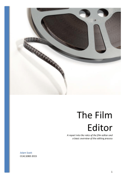 The Film Editor