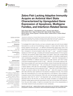 Zebra Fish Lacking Adaptive Immunity Acquire an Antiviral Alert