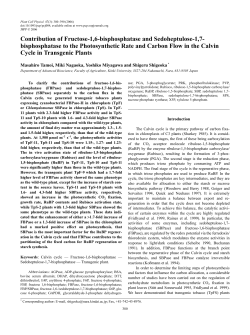 Contribution of Fructose-1, 6-bisphosphatase and Sedoheptulose