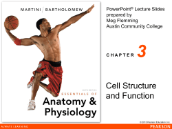 Cell Structure and Function