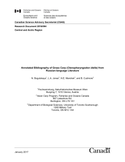 Complete PDF document