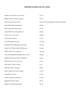Minimum landing sizes