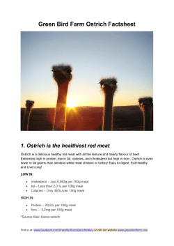 Green Bird Farm Ostrich Factsheet
