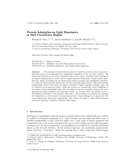 Protein Adsorption on Lipid Monolayers at their Coexistence Region