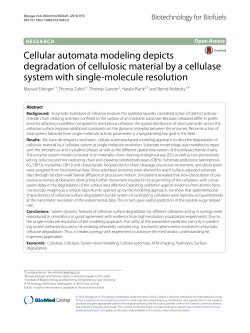 Cellular automata modeling depicts degradation of cellulosic