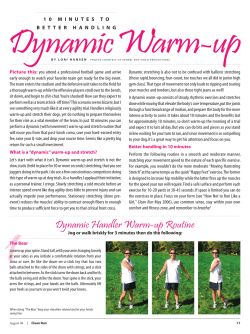 Dynamic Warm-up