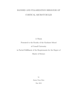 handed and polarization behavior of cortical microtubules