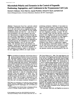 Microtubule Polarity and Dynamics in the Control of Organelle
