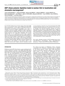 ADP-ribose polymer depletion leads to nuclear Ctcf re