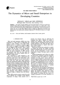 The Dynamics of Micro and Small Enterprises in Developing Countries