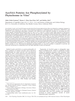 Aux/IAA Proteins Are Phosphorylated by Phytochrome in Vitro