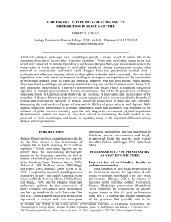 burgess shale-type preservation and its