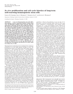 In vivo proliferation and cell cycle kinetics of long-term self