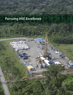 Pursuing HSE Excellence