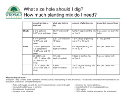 how to plant, how much do I need.indd
