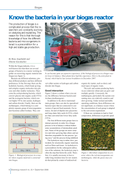 Know the bacteria in your biogas reactor
