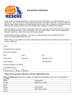 Dog Adoption Application