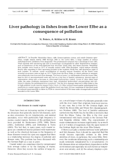 Full text in pdf format