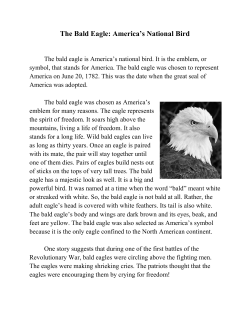The Bald Eagle: America`s National Bird