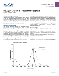 IncuCyte&reg; Caspase-3/7 Reagent for Apoptosis
