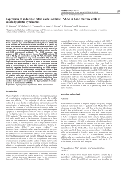 Expression of inducible nitric oxide synthase (NOS) in bone