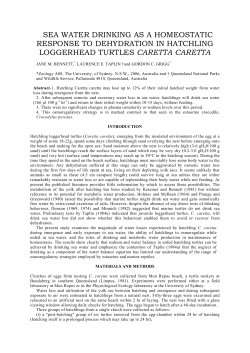 sea water drinking as a homeostatic response to