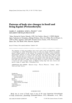 Patterns of body size changes in fossil and living