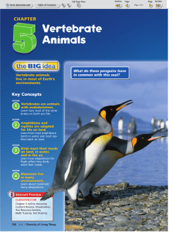 154 - 156 - BAschools.org