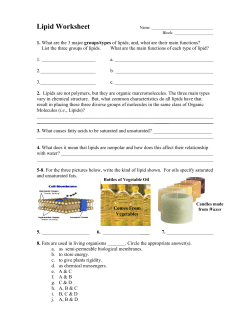 Lipid Worksheet