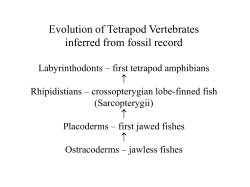 Evolution of Tetrapods