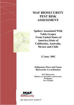 MAF Biosecurity Pest Risk Assessment