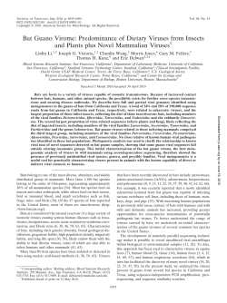 Bat Guano Virome: Predominance of Dietary