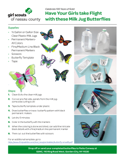 Milk Jug Butterfly directions