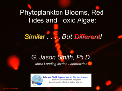 Phytoplankton Blooms, Red Tides and Toxic Algae